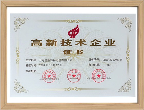 上海市高新技術企業證書