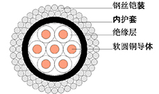 測(cè)井電纜