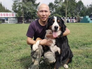 專業訓狗，成就非凡 成都勇軍訓犬基地的服務與價值
